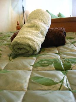 LaFlats Kropotkinskaya, Moscow - apartment by the day