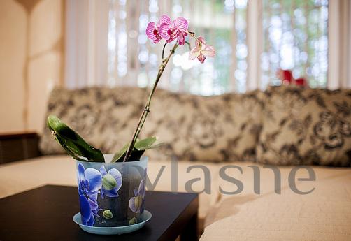 Daily , Moscow - apartment by the day