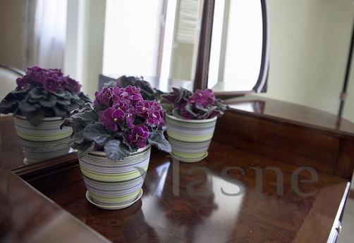 Daily Bolshoi Golovin Lane, 2, Moscow - apartment by the day