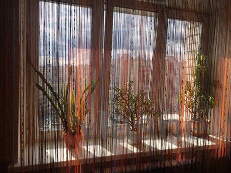 Cozy studio (Med. Academy, TC 'Maxi, Смоленск - апартамент за нощувки
