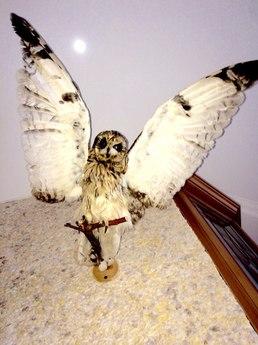 Cozy studio (Med. Academy, TC 'Maxi, Смоленск - апартамент за нощувки
