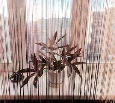 Luxury studio near (emii), Смоленск - апартамент за нощувки
