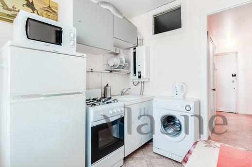Cozy apartmen 50 meters from the subway, Saint Petersburg - apartment by the day