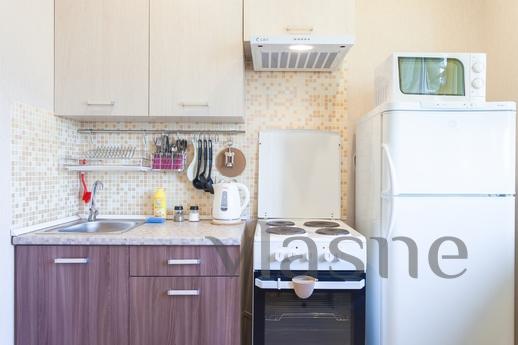 Daily Novo-Aleksandrovskaya street house, Saint Petersburg - apartment by the day