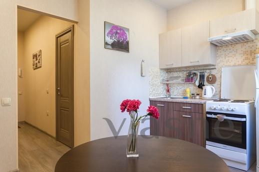 Daily Novo-Aleksandrovskaya street house, Saint Petersburg - apartment by the day