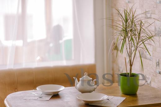 Apartment overlooking the Ostankino Towe, Moscow - apartment by the day