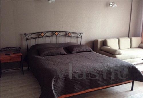 Cozy 1BR apartment, Saint Petersburg - apartment by the day
