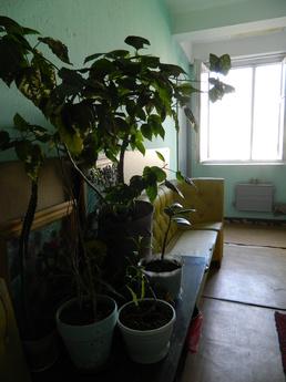 Comfortable apartment in Zhulebino, Moscow - apartment by the day