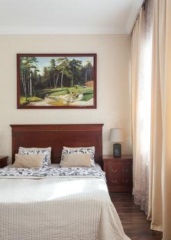 Apartments near the Hermitage, Saint Petersburg - apartment by the day