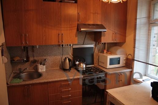 Cozy apartment on the Trade Union., Moscow - apartment by the day