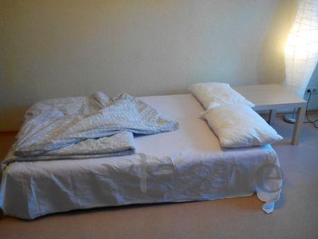 cozy apartment in the center, Novosibirsk - apartment by the day