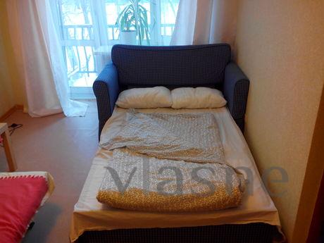 cozy apartment in the center, Novosibirsk - apartment by the day