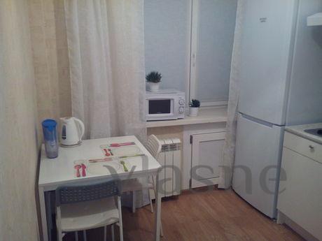 comfortable apartment in the center, Novosibirsk - apartment by the day