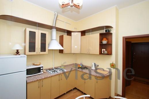 Cozy bright apartment in m. Shchelkovska, Moscow - apartment by the day