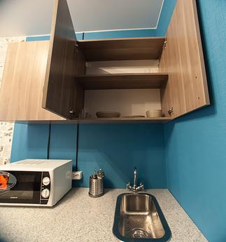 Studio for Moss, Saint Petersburg - apartment by the day