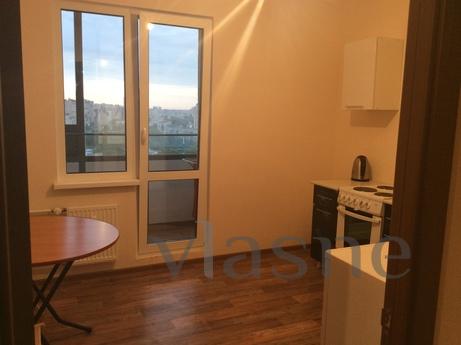 The apartment is on the Danube, Saint Petersburg - apartment by the day