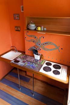 Cozy studio at the Zoo, near the metro, Novosibirsk - apartment by the day