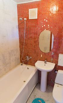Cozy studio at the Zoo, near the metro, Novosibirsk - apartment by the day