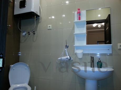 Modern and cozy 1 bedroom apartment, Krasnodar - apartment by the day