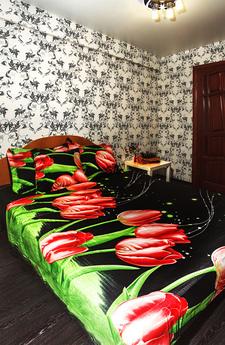One bedroom apartment with a good repair, Krasnodar - apartment by the day
