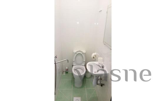 1 bedroom apartment for rent, Saint Petersburg - apartment by the day