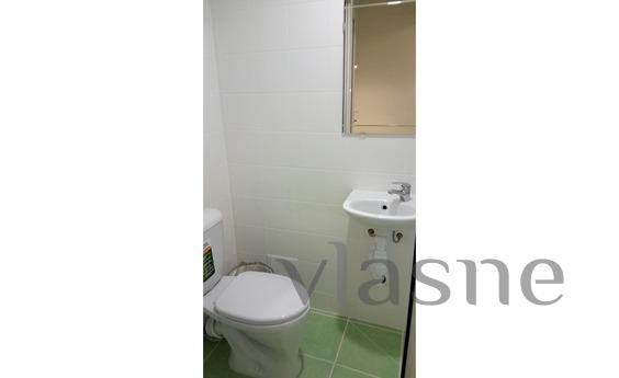 1 bedroom apartment for rent, Saint Petersburg - apartment by the day